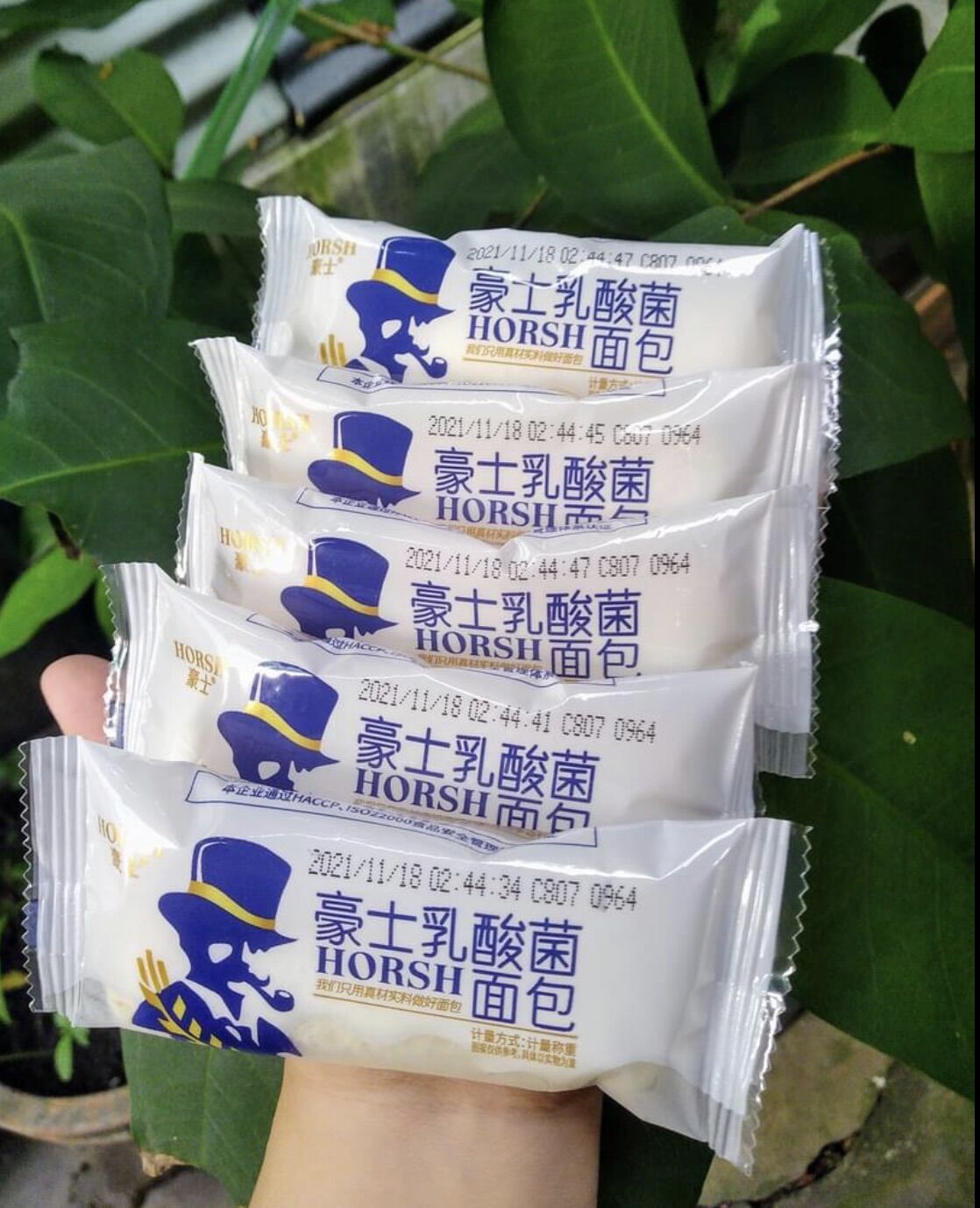 0,5kg Bánh sữa chua ông già Horsh date mới nhất