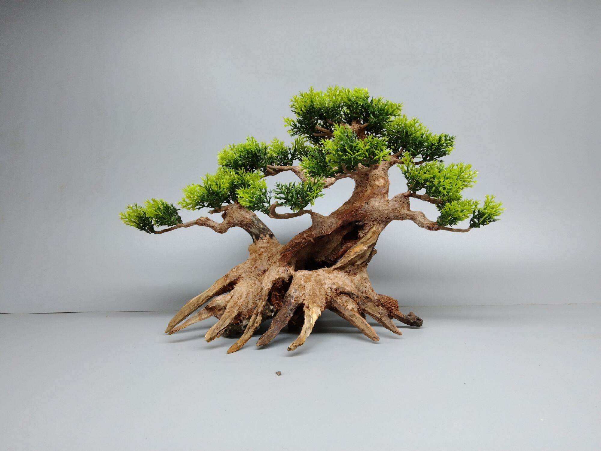 Cây gỗ lũa bonsai tán Tùng 2 thân cho hồ cá cảnh (có 4 màu: Xanh, Đỏ, Cam, Kem)