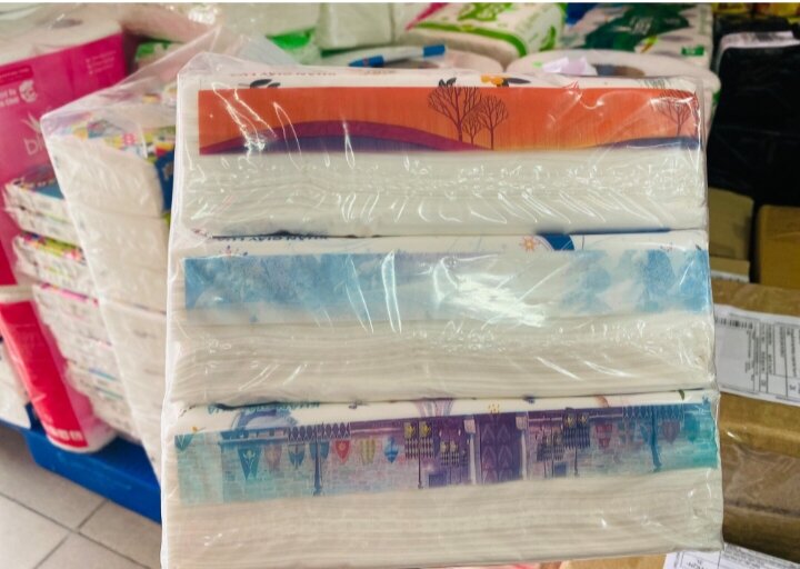 Lot of 3 Packs of Sofpack Towels - Bless You Selection Disney, Pack of 150 Sheets