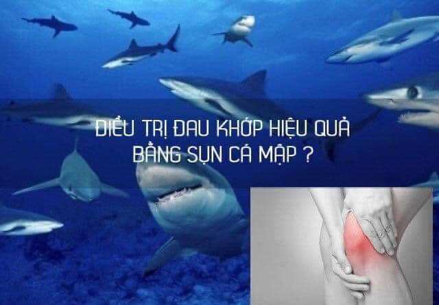 Sụn cá mập Costar Shark Cartilage 365 viên
