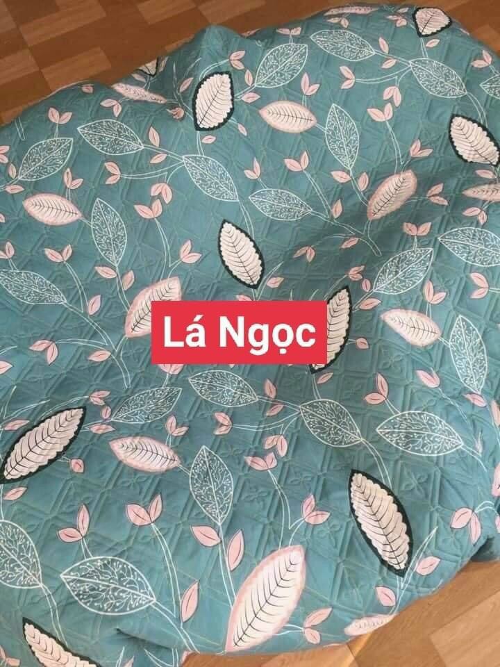 Bộ 3 món ga gối chần bông Cotton poly
