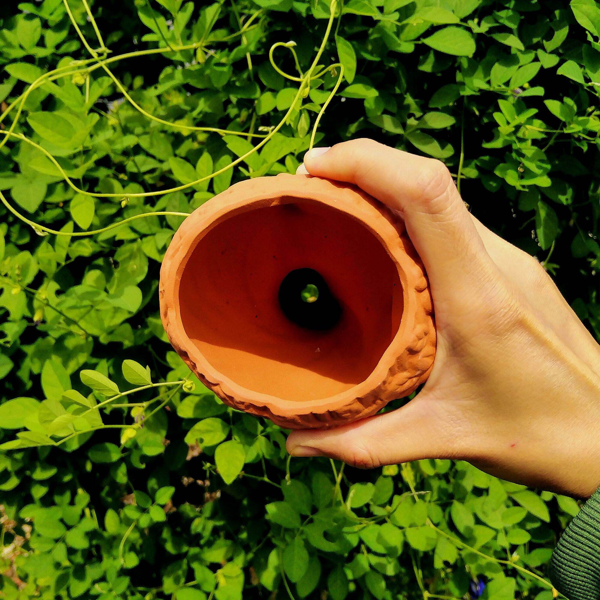 Chậu Đất Nung Cô Gái Tóc Dài Trồng Sen Đá, Cây Để Bàn