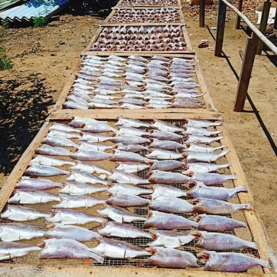 1kg Cá Đù 1 nắng Cần Giờ (hoả tốc)