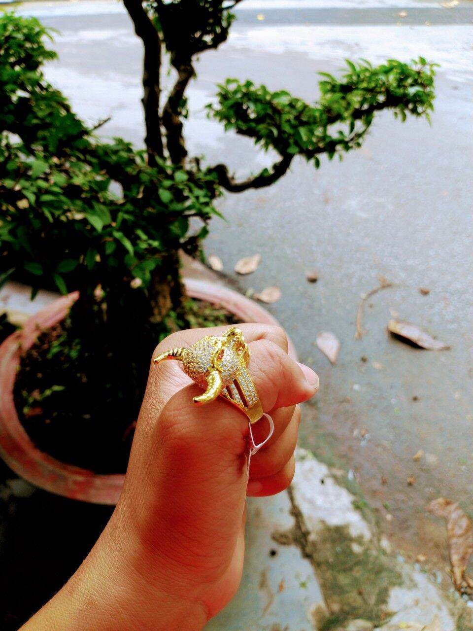 Nhẫn Nam Con Trâu - 🐃🐃 - Nhẫn tuổi sửu