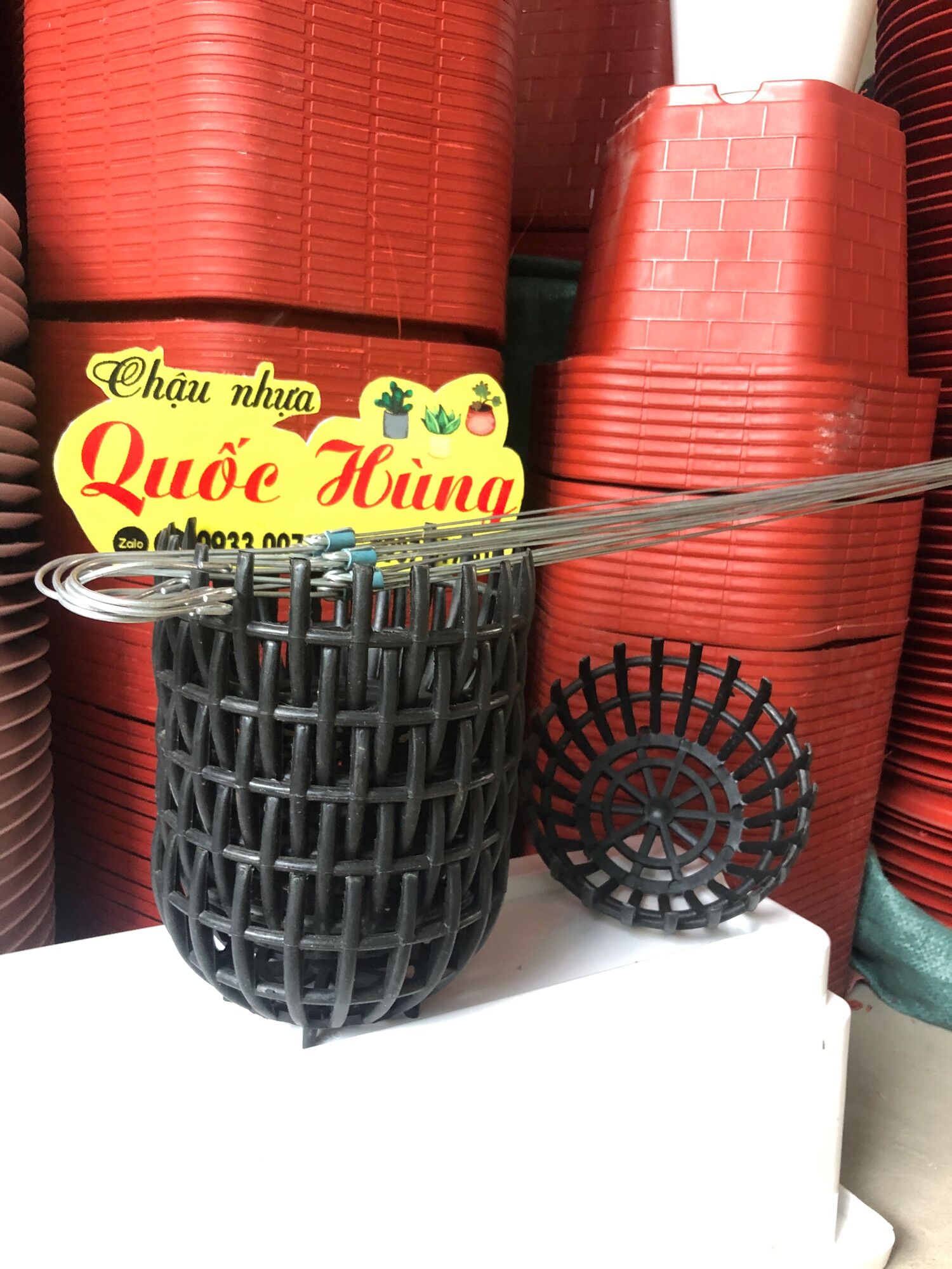 Combo 5 chậu lan bí f16 và 5 móc kẽm