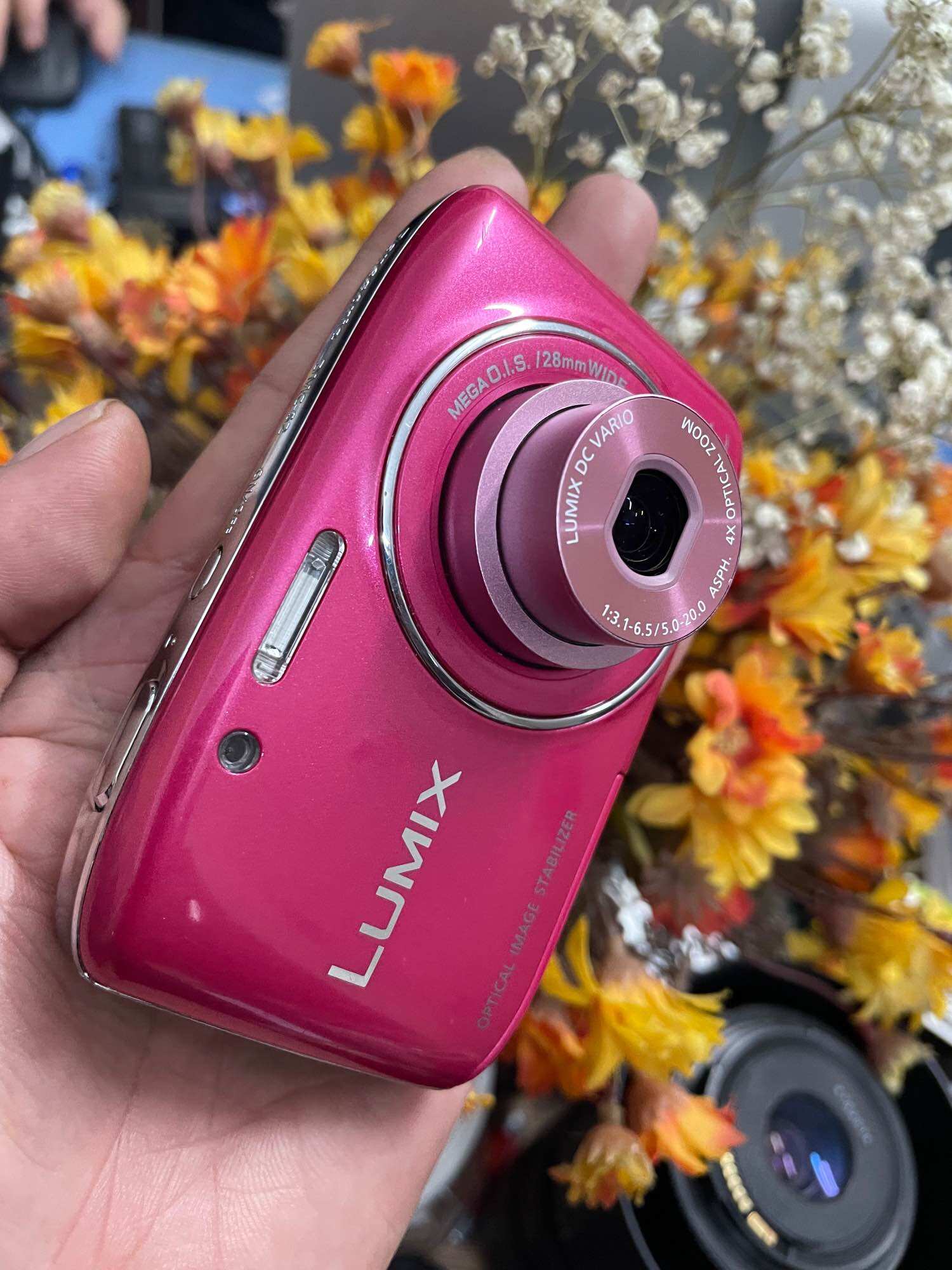 Panasonic Lumix DMC S2 14.1Mpx