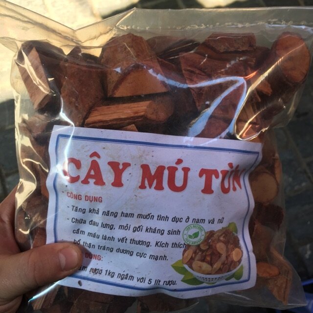 Set 2kg cây mú từn