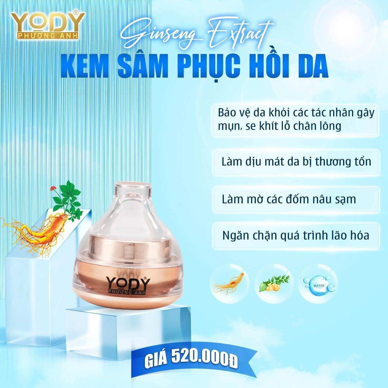 Kem Sâm Nhung Phục hồi da -GINSENG FACE CREAM -Yody tomorrow