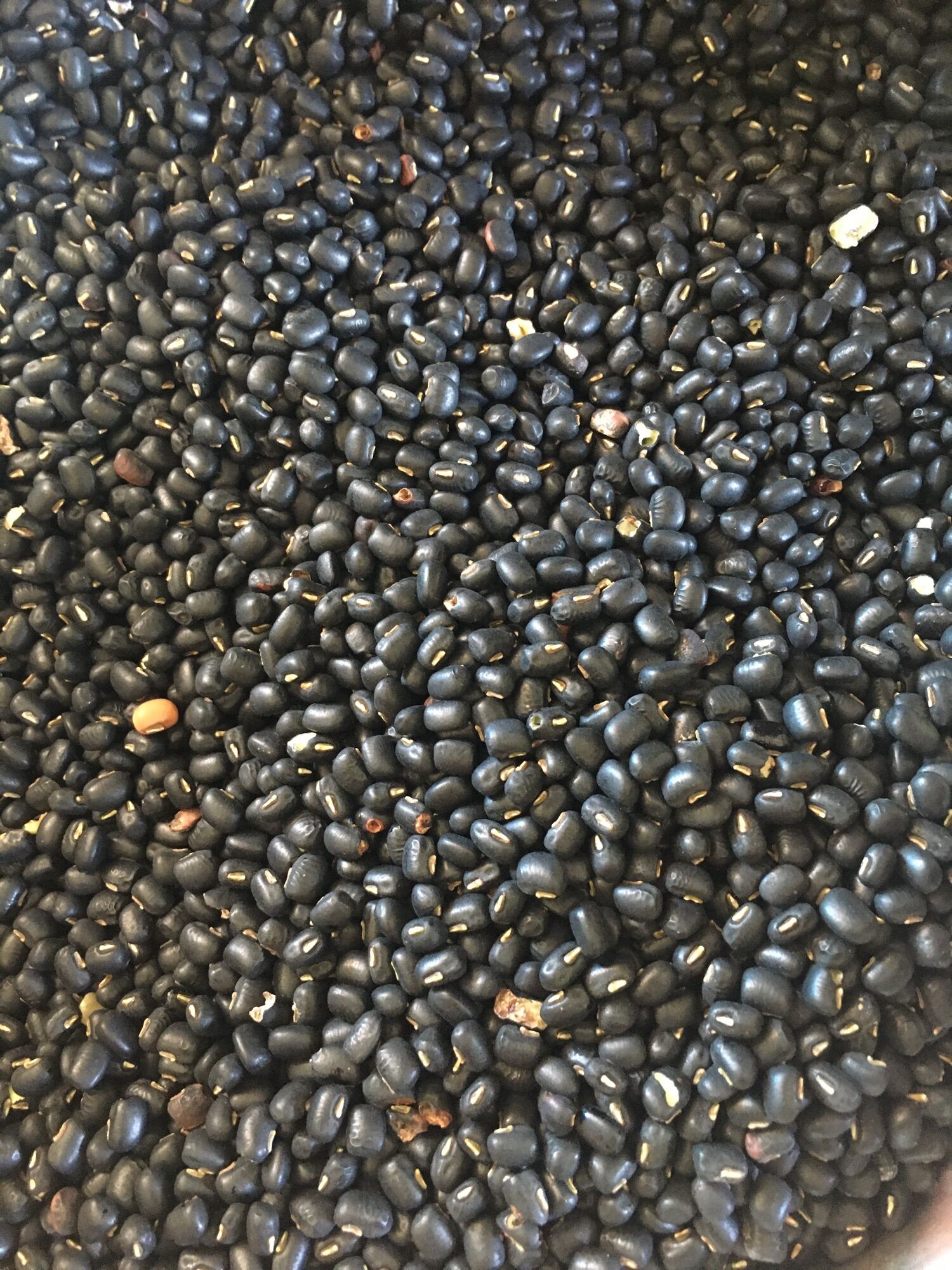 Đậu Đen Xanh Lòng Rang (1kg)