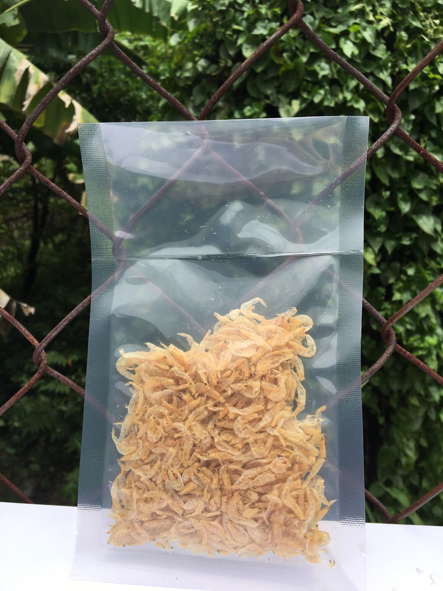 Thức ăn dặm dinh dưỡng hamter ( tép khô)