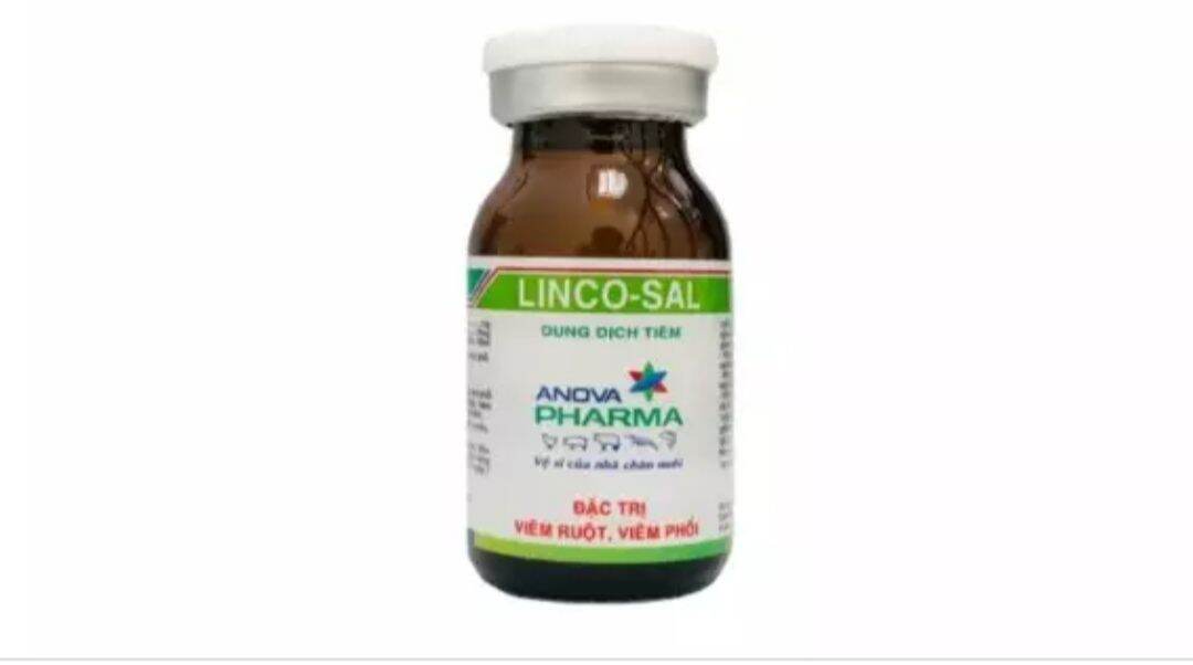 Linco sal Lincosal 10ml hô hấp, CRD