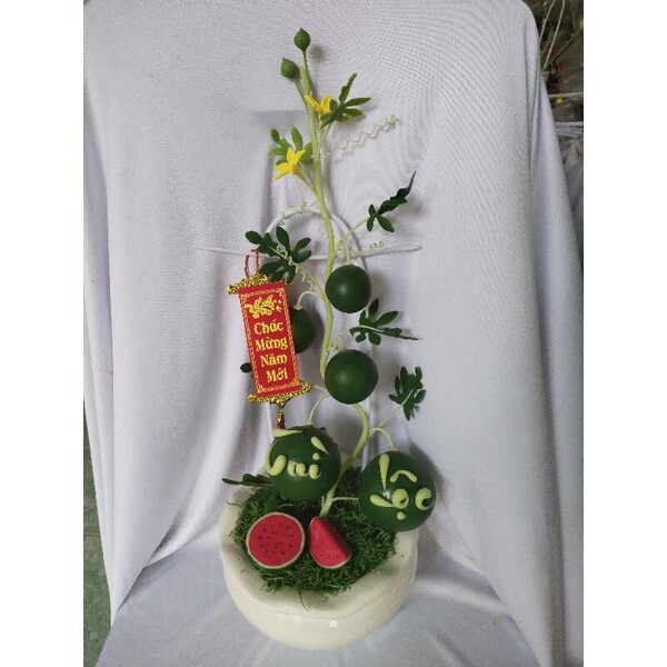 Chậu dưa hấu tài lộc cao 40cm