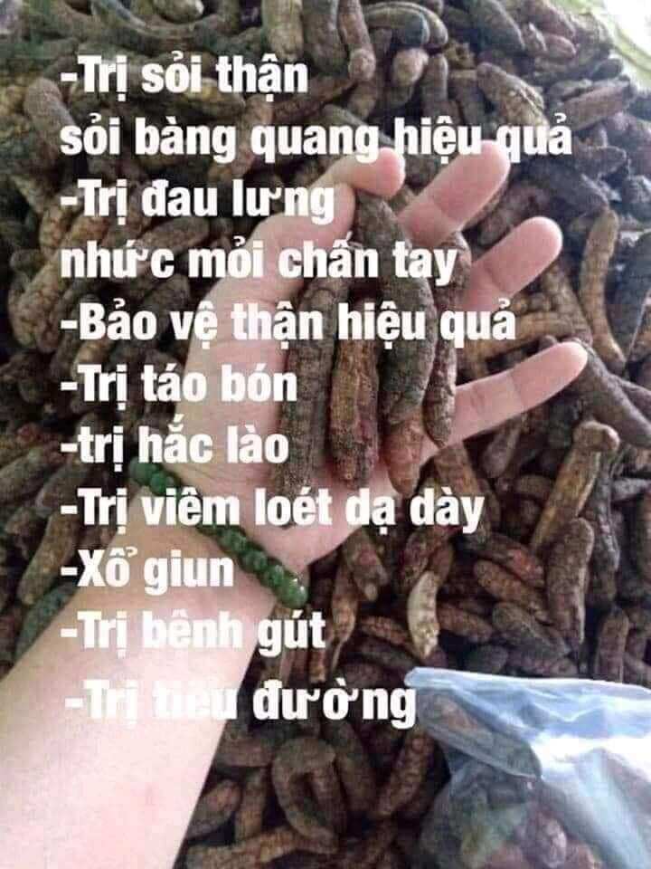 200g chuối hột rừng nguyên trái thơm chín cây.