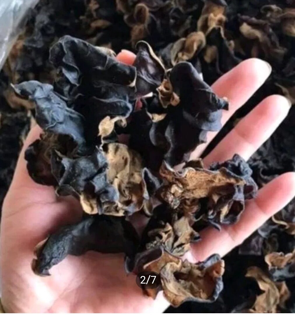 500g mộc nhĩ rừng Tây Bắc