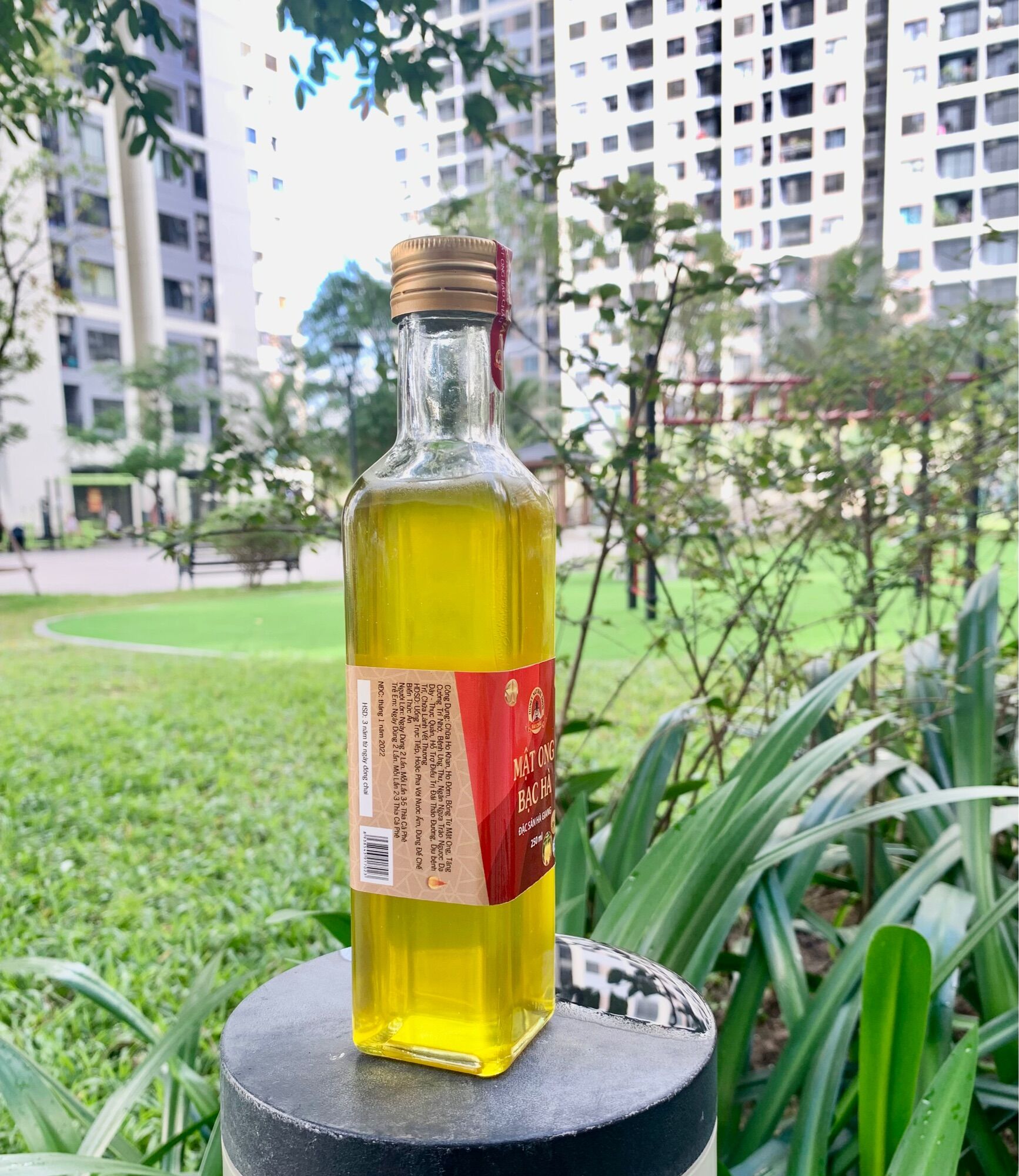 Mật ong