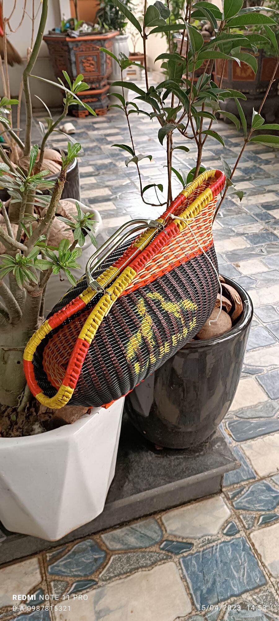 Giỏ xách gà, làn xách gà ph.ong th.ủy