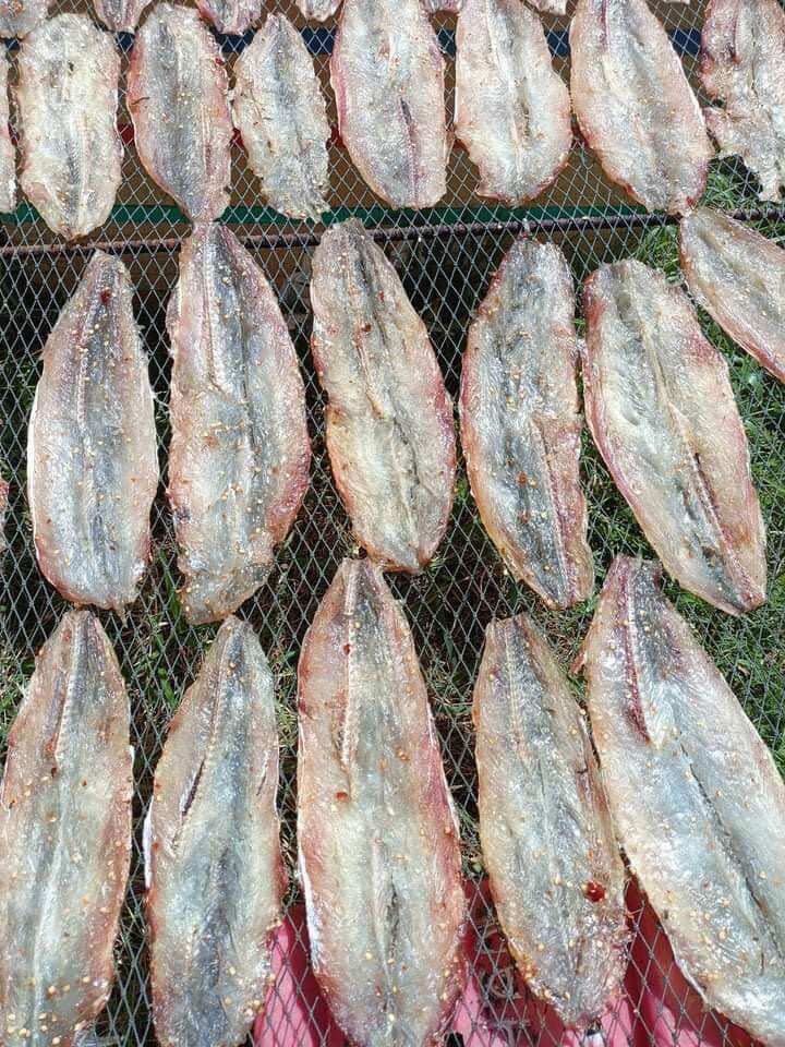 Khô cá mối trắng vừa ăn 500g