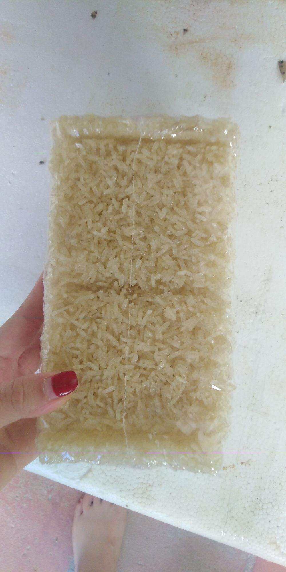 Cơm cháy chưa chiên 1kg (32-34 miếng)