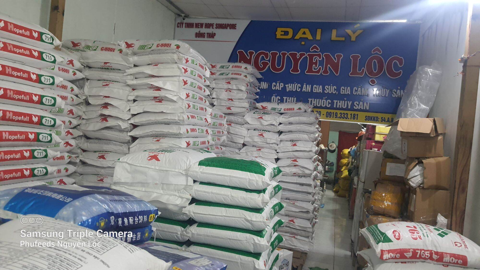 A31 tri bệnh cho lươn, cá, ếch.  Mua 10 tặng 1