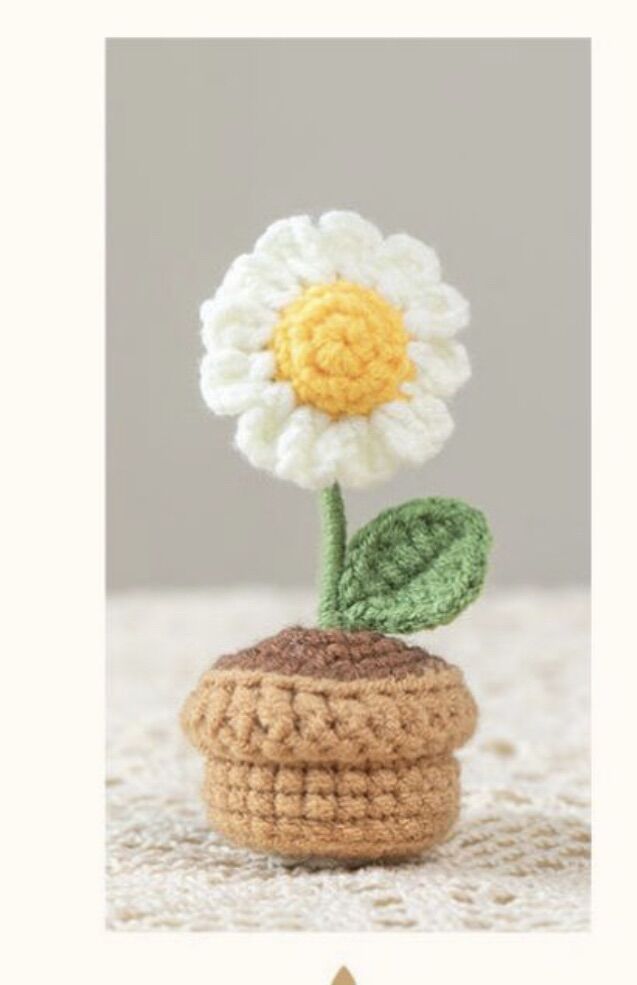 Chậu hoa mini handmade