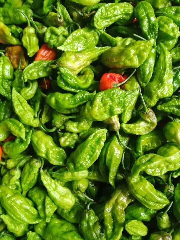Ớt Trung Đoàn 1kg