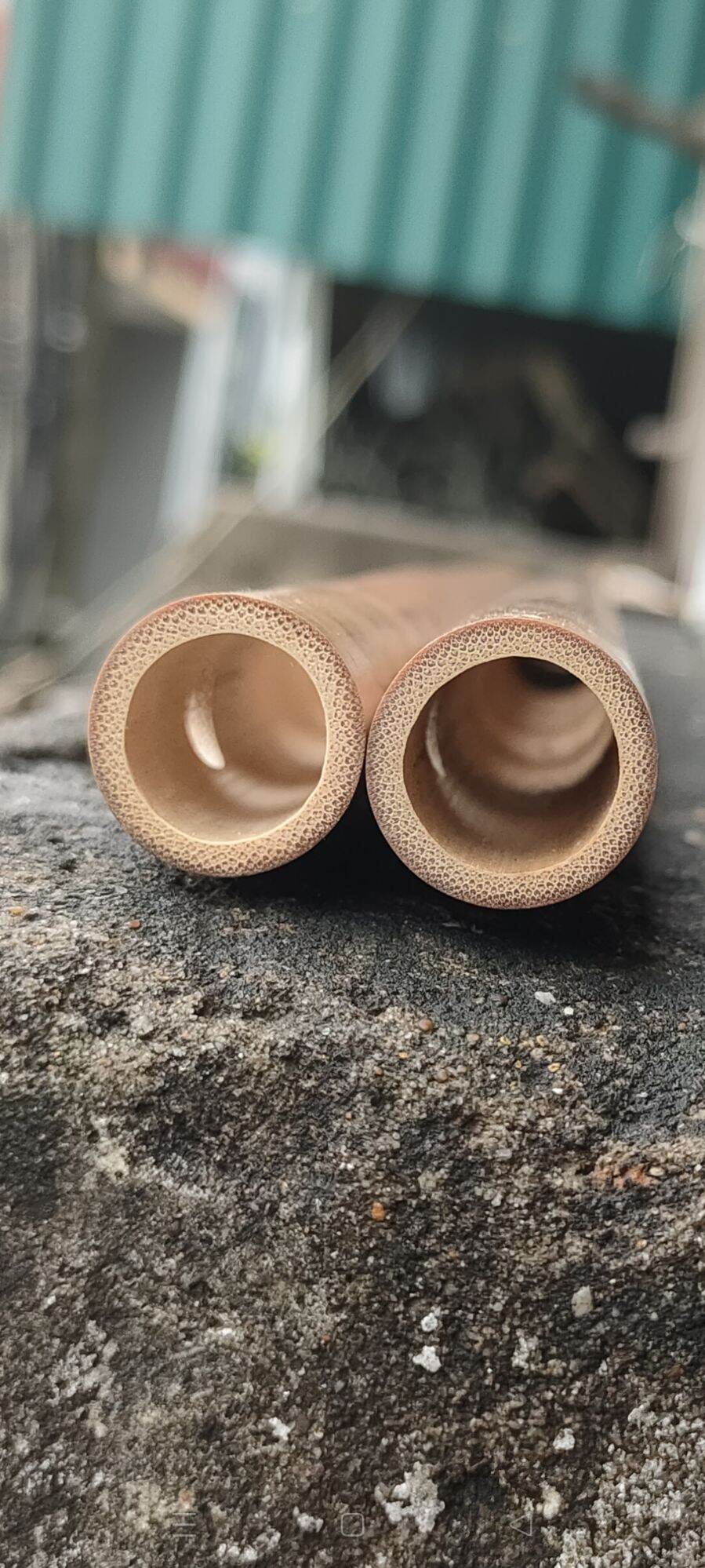 Sáo Trúc Đô C5 Nứa Bắc Chuẩn âm