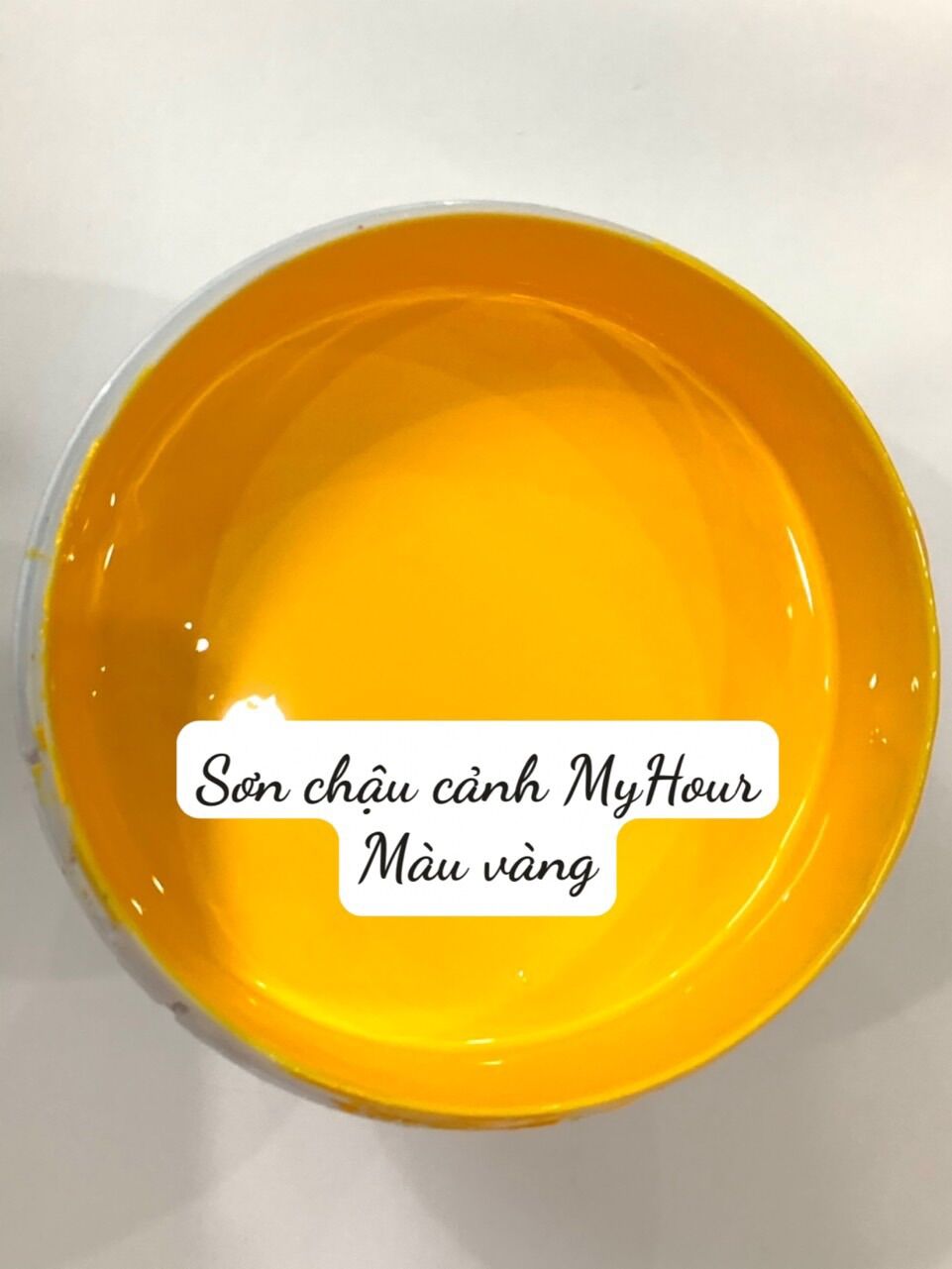 Sơn chậu cảnh màu vàng đẹp, Sơn Chậu Cảnh, Sơn Chậu Kiểng, Sơn Trang Trí My Hour