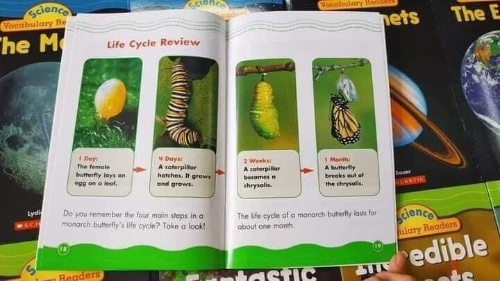 Science Vocabulary Readers - 30 quyển