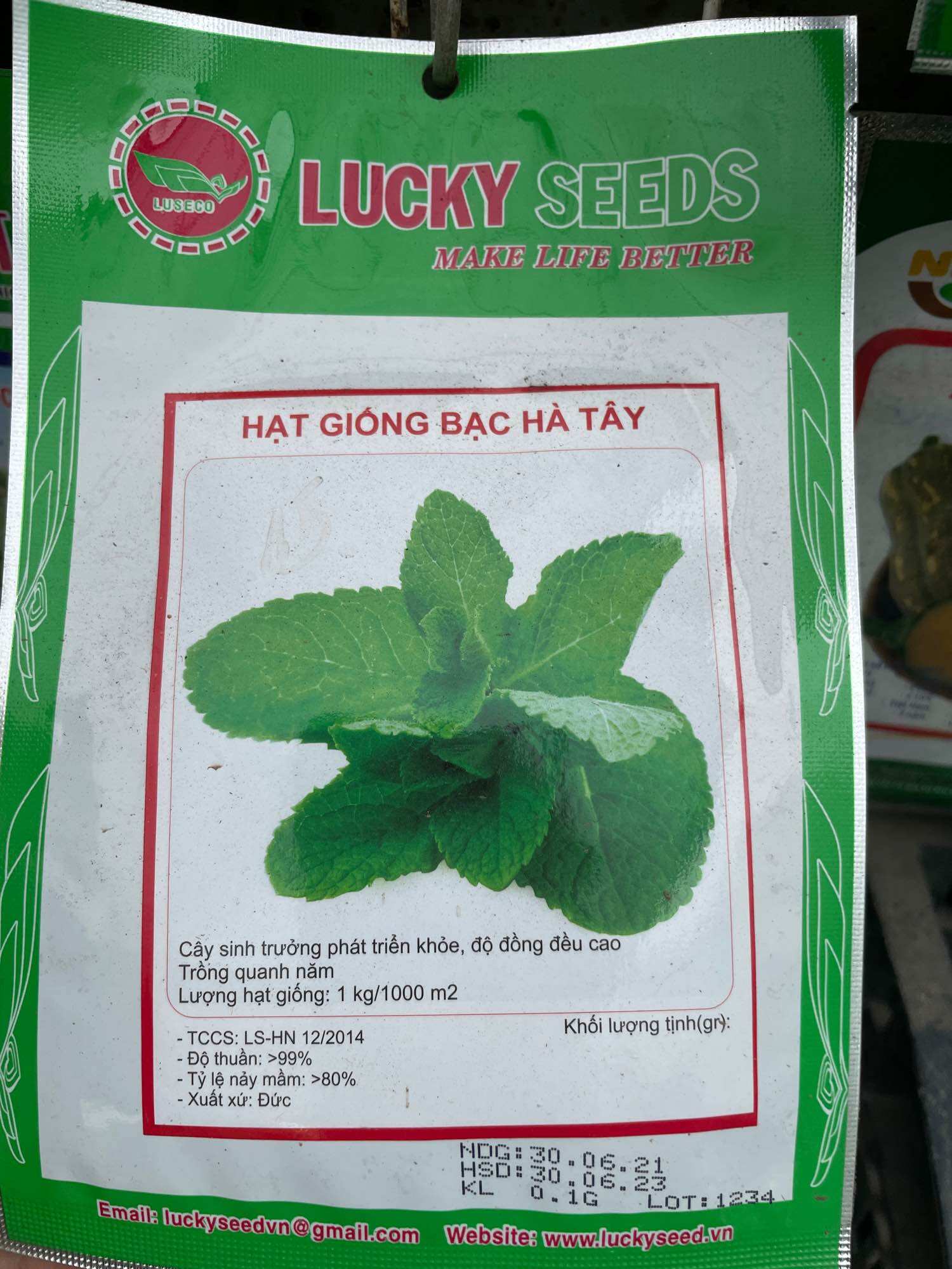 Hạt giống bạc hà tây