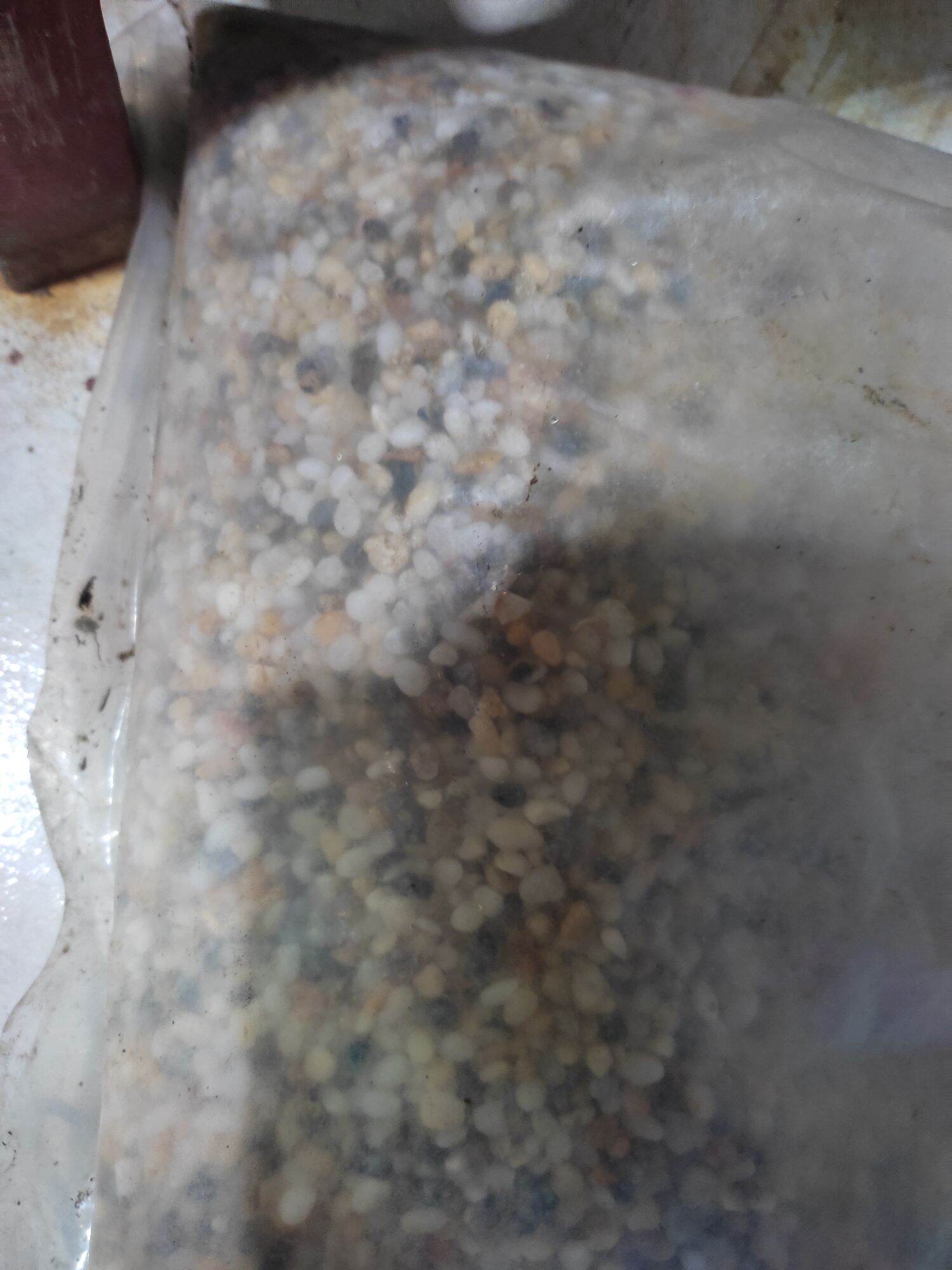 Sỏi suối 12k/kg
