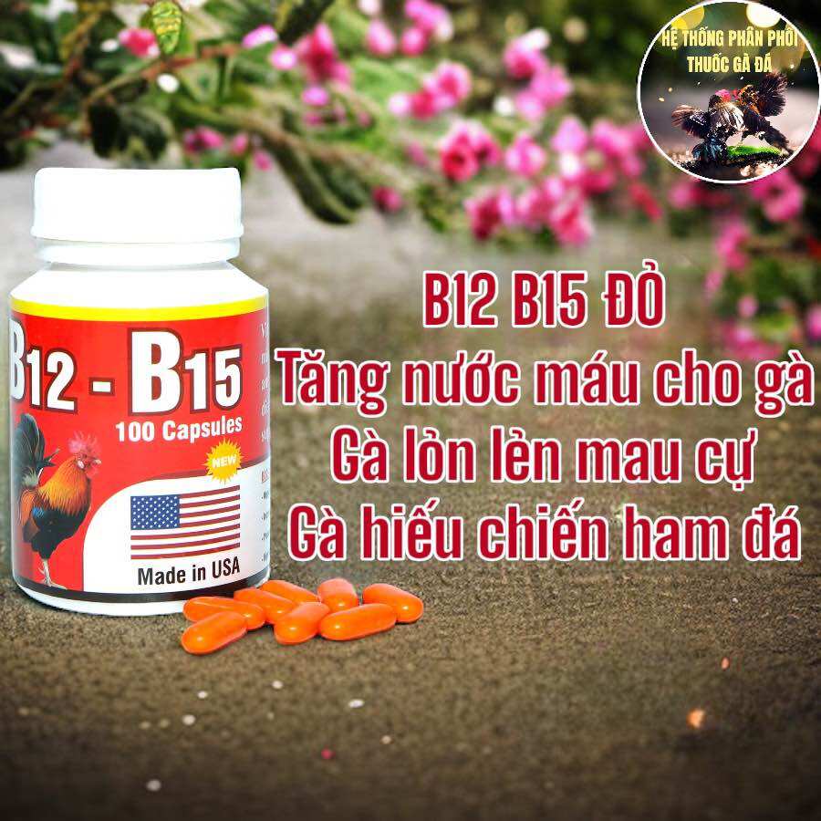 Thuốc gà đá b12 b15 đỏ tăng bo, nở cơ, tăng nước máu phát triển khung xương cho gà đá lọ 100 viên