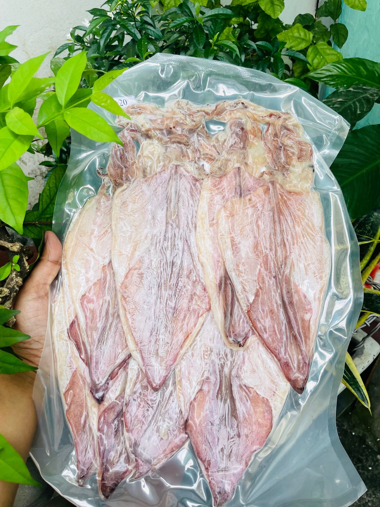 Mực khô size 17-20c
