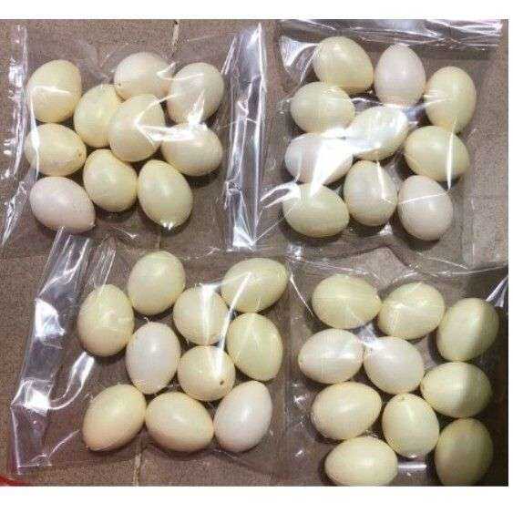 Đồ chơi trứng gà, trứng vịt – No Brand >>> top1shop >>> lazada.vn