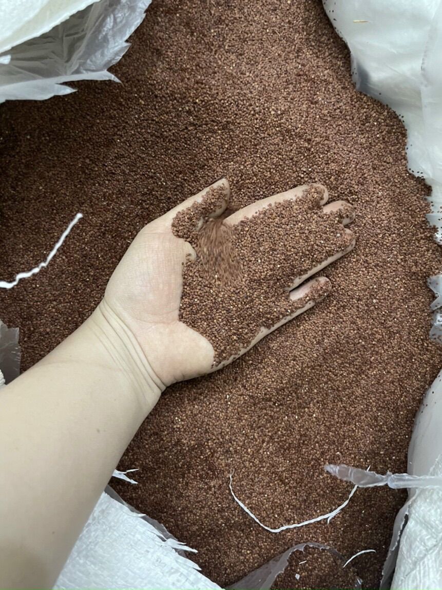 Hạt Ngũ Hoa To 1kg( Ngũ Hoa Hạt, Hạt Đình Lịch) 1 kg GT021