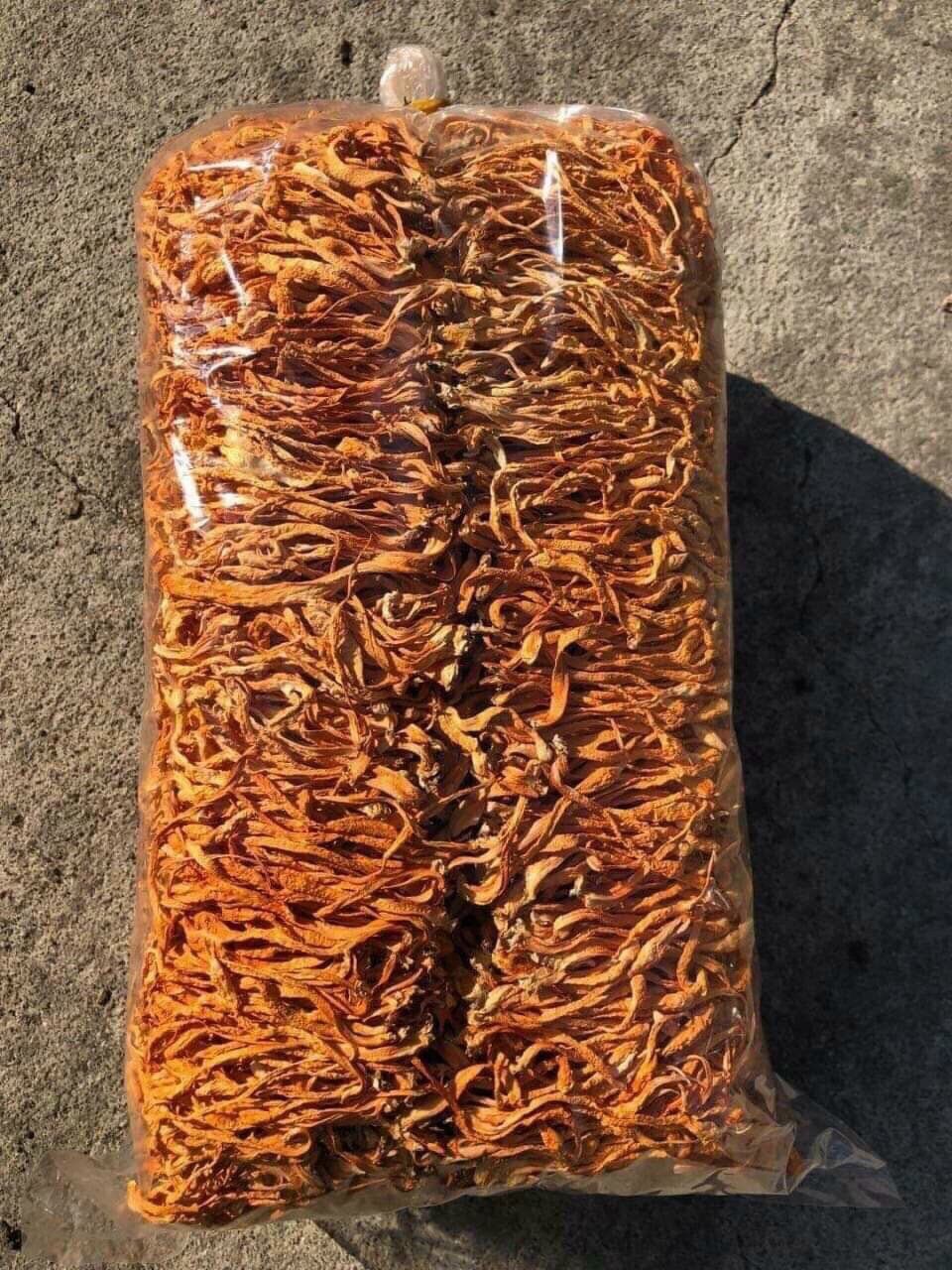 100gram Đông trùng hạ thảo khô