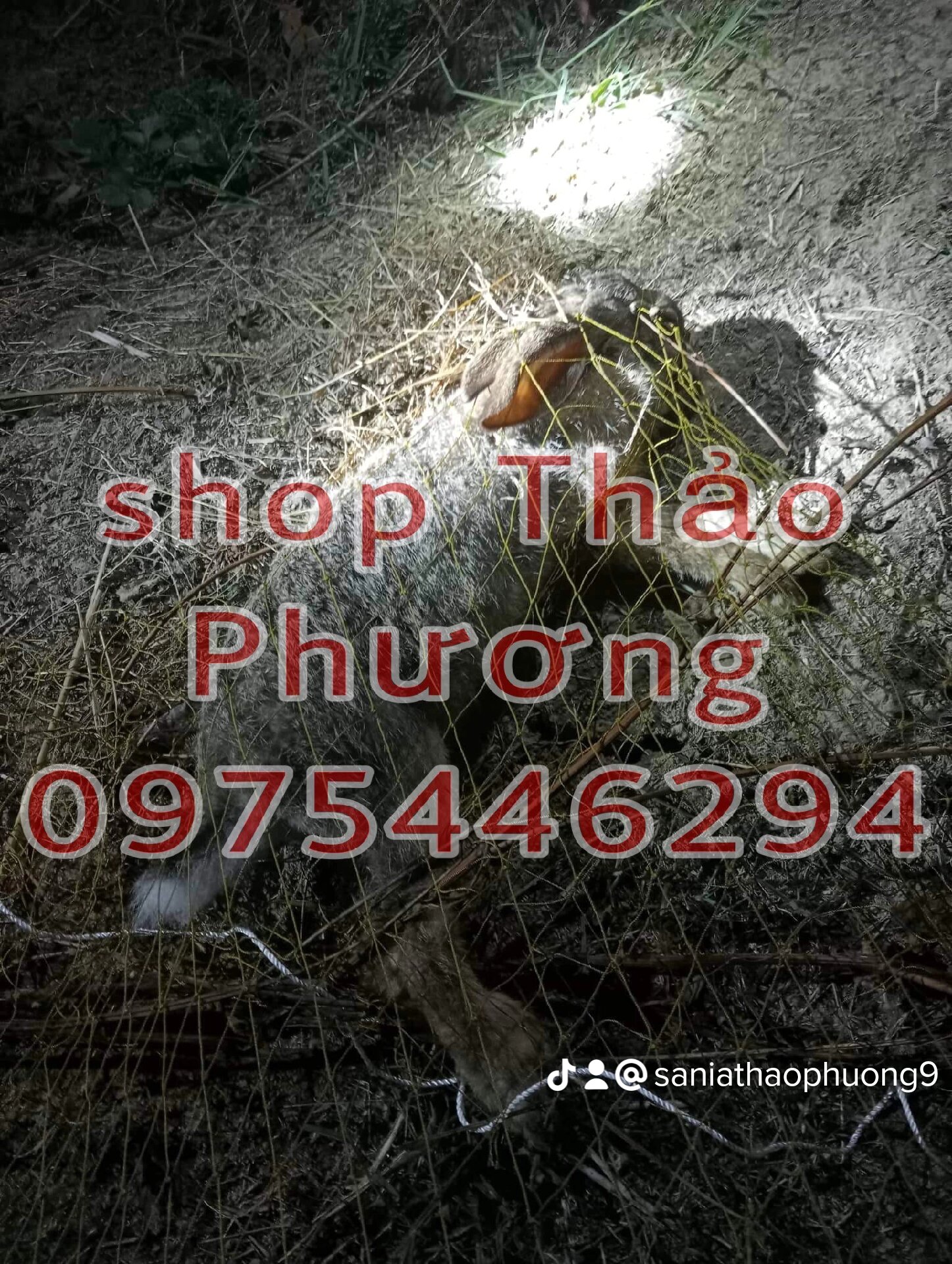 lưới lùa quốc chất liệu dù thái mắt 6p dài 20m