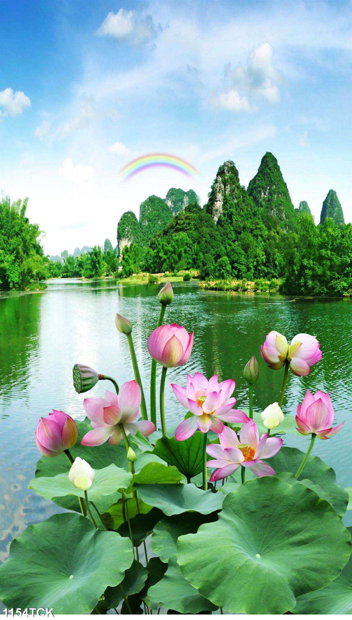 Tranh dán tường hoa sen 1154tck - tranh hoa sen cá chép - tranh bàn thờ quan âm