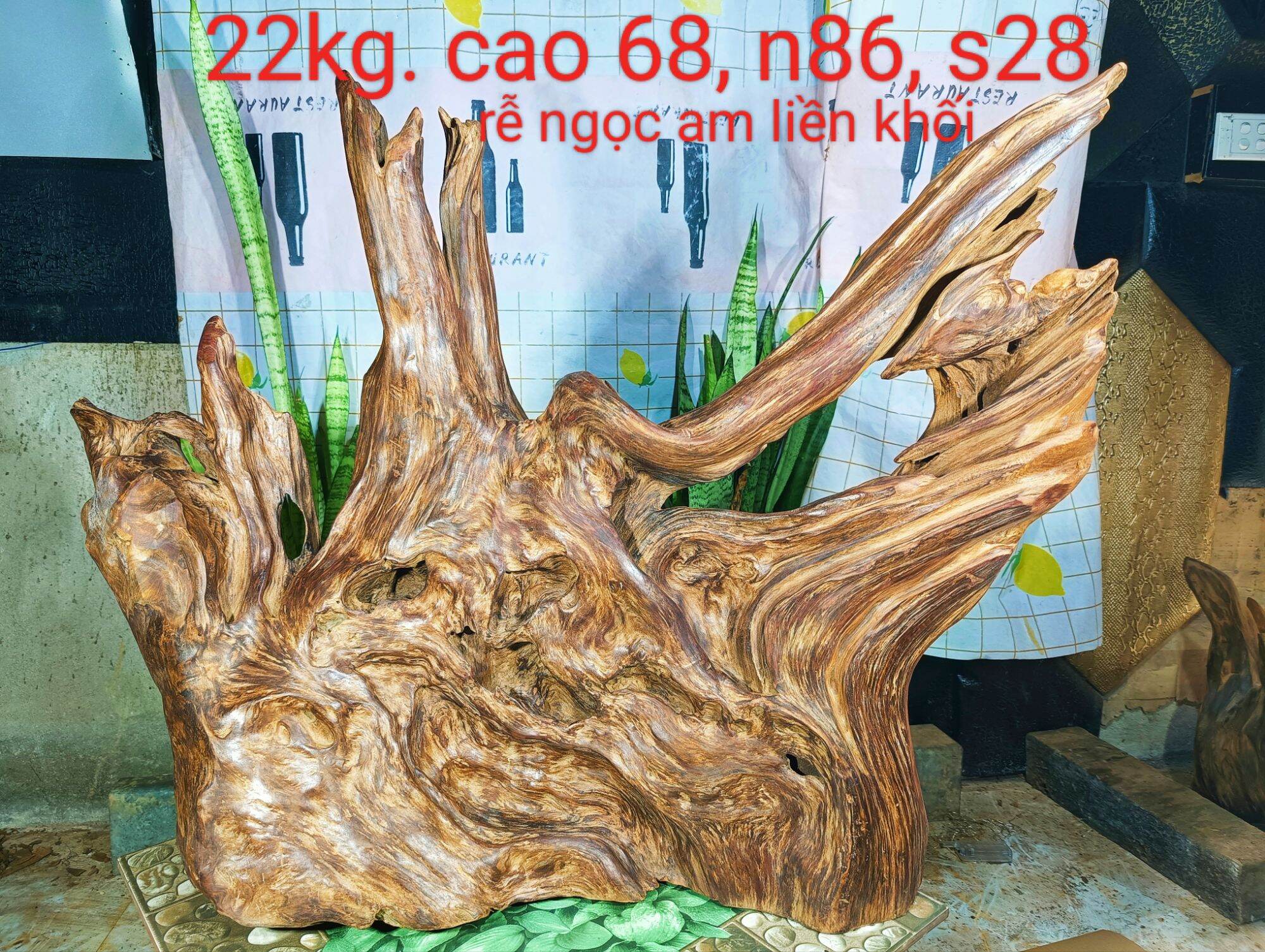 Lũa gỗ thơm ngọc am đỏ hà giang