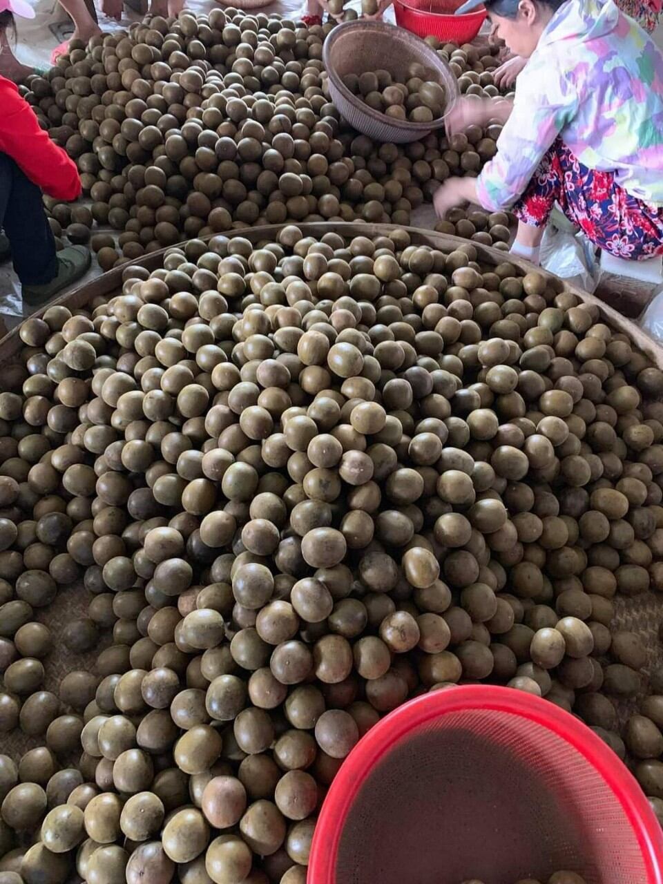 100g La Hán Quả, Thanh Mát Giải Độc