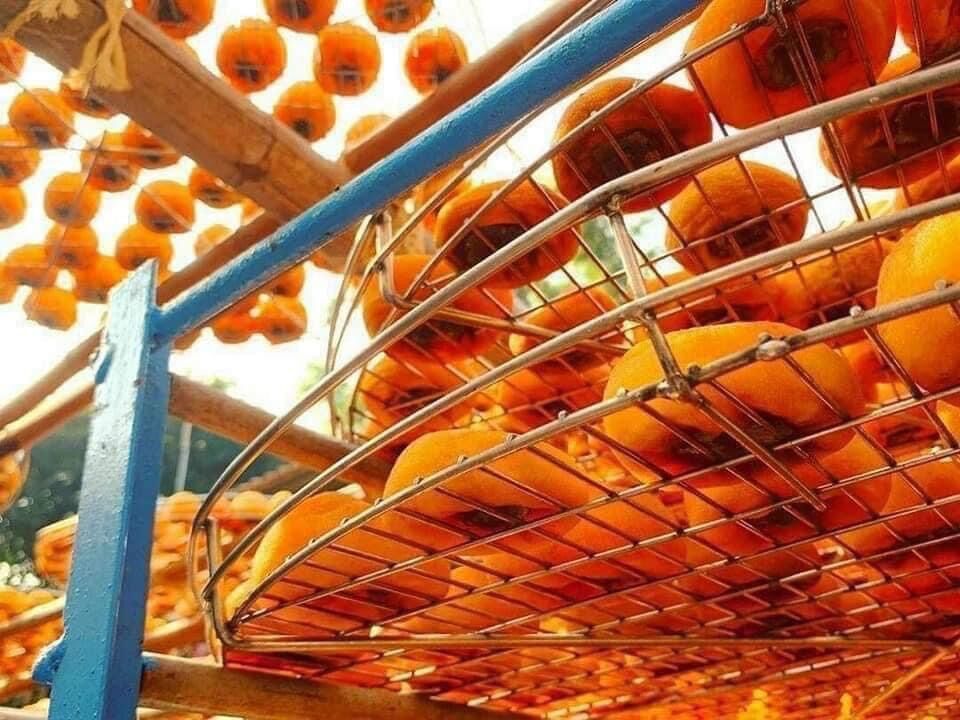 Hồng Sấy Dẻo(Nguyên Trái 1kg)