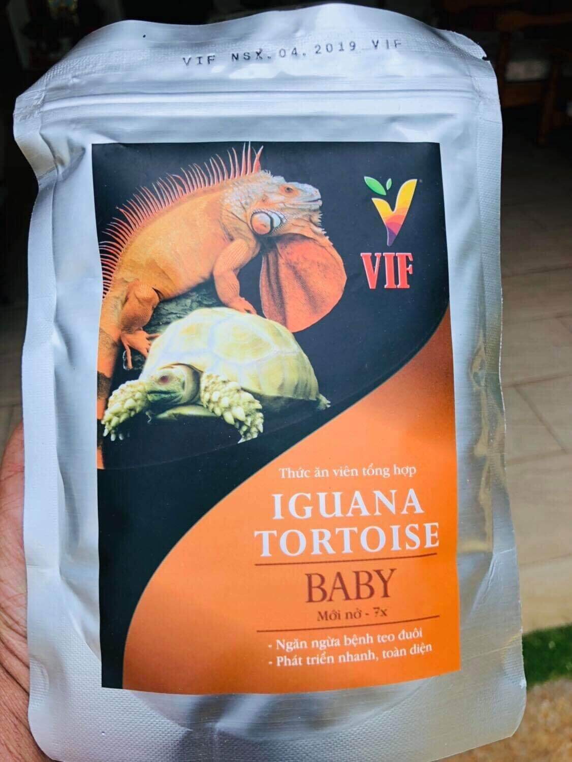 VIF thức ăn iguana