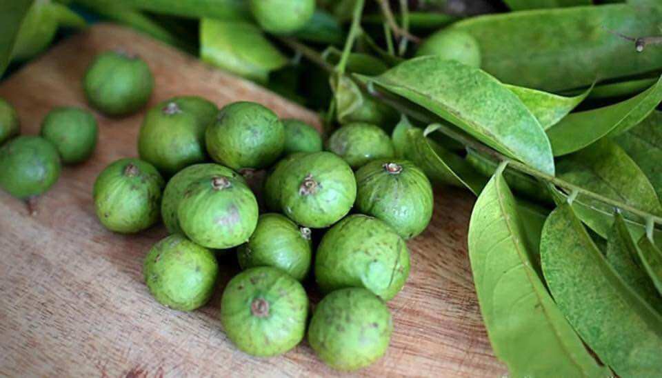 3kg Sấu tươi Hà Nội (còn vỏ)