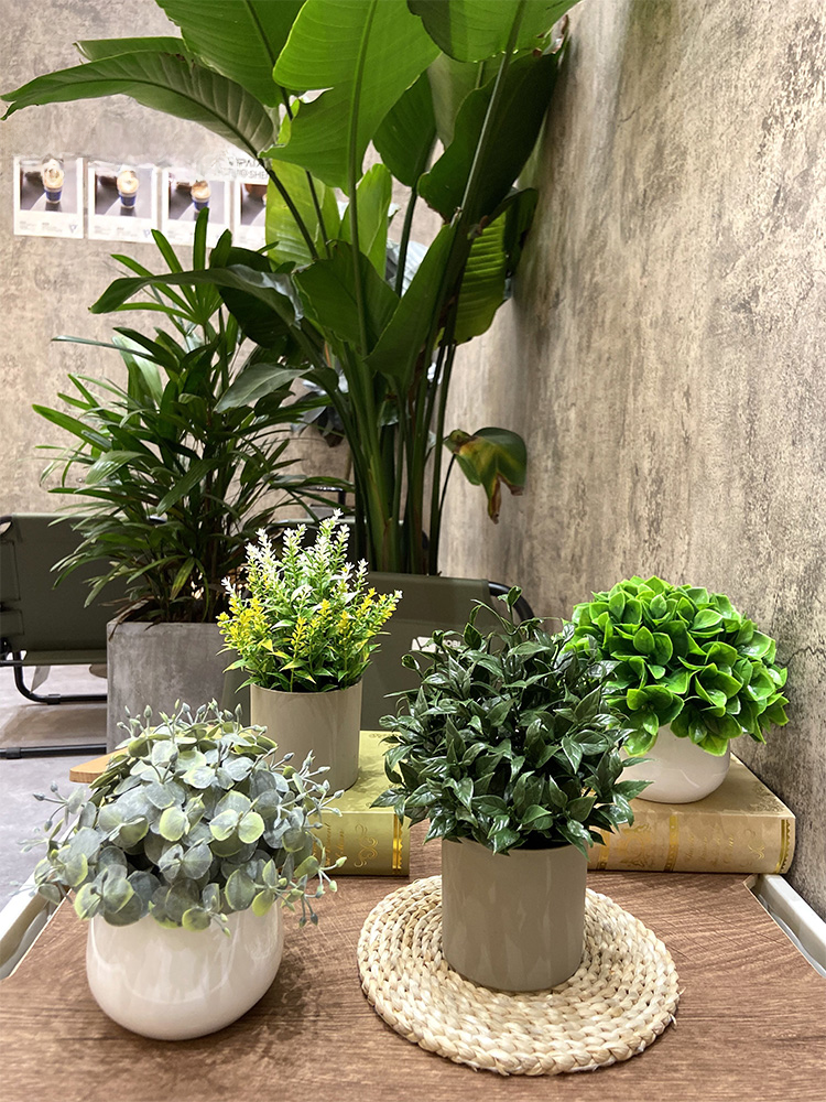 Trang trí nội thất nhân tạo hoa chậu cây hoa để bàn văn phòng giá sách miếng trang trí lối vào hội trường tủ rượu