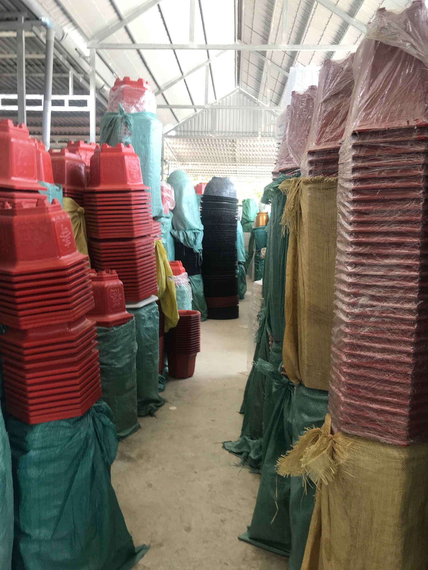 Combo 5 chậu  A250