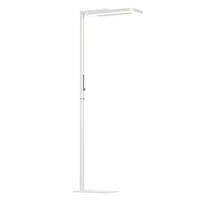 Eye-Protecting Student Study Floor Lamp