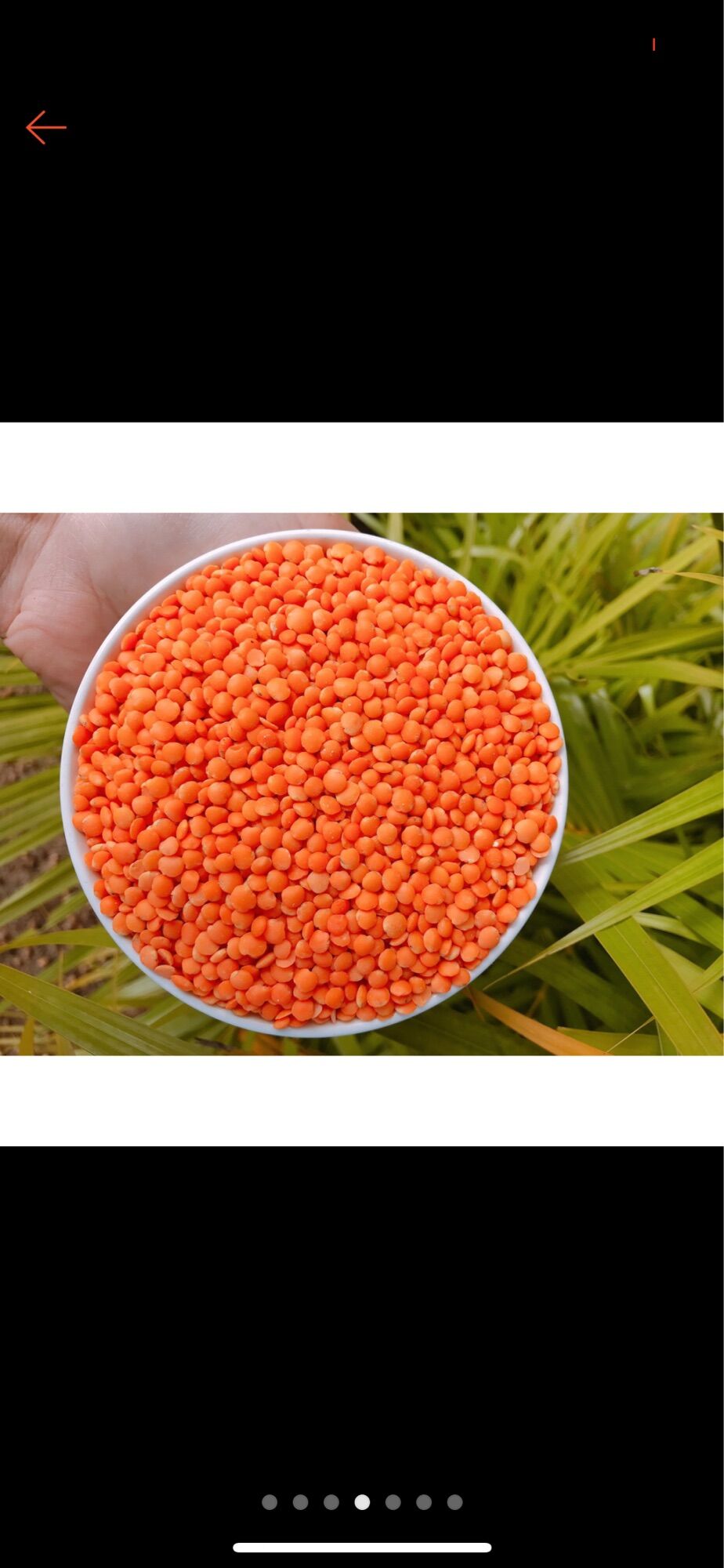 Đậu lăng đỏ sấy khô 500gr