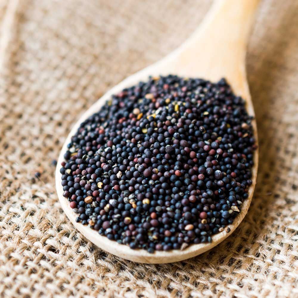 Mustard Black- Hạt mù tạc đen 500g