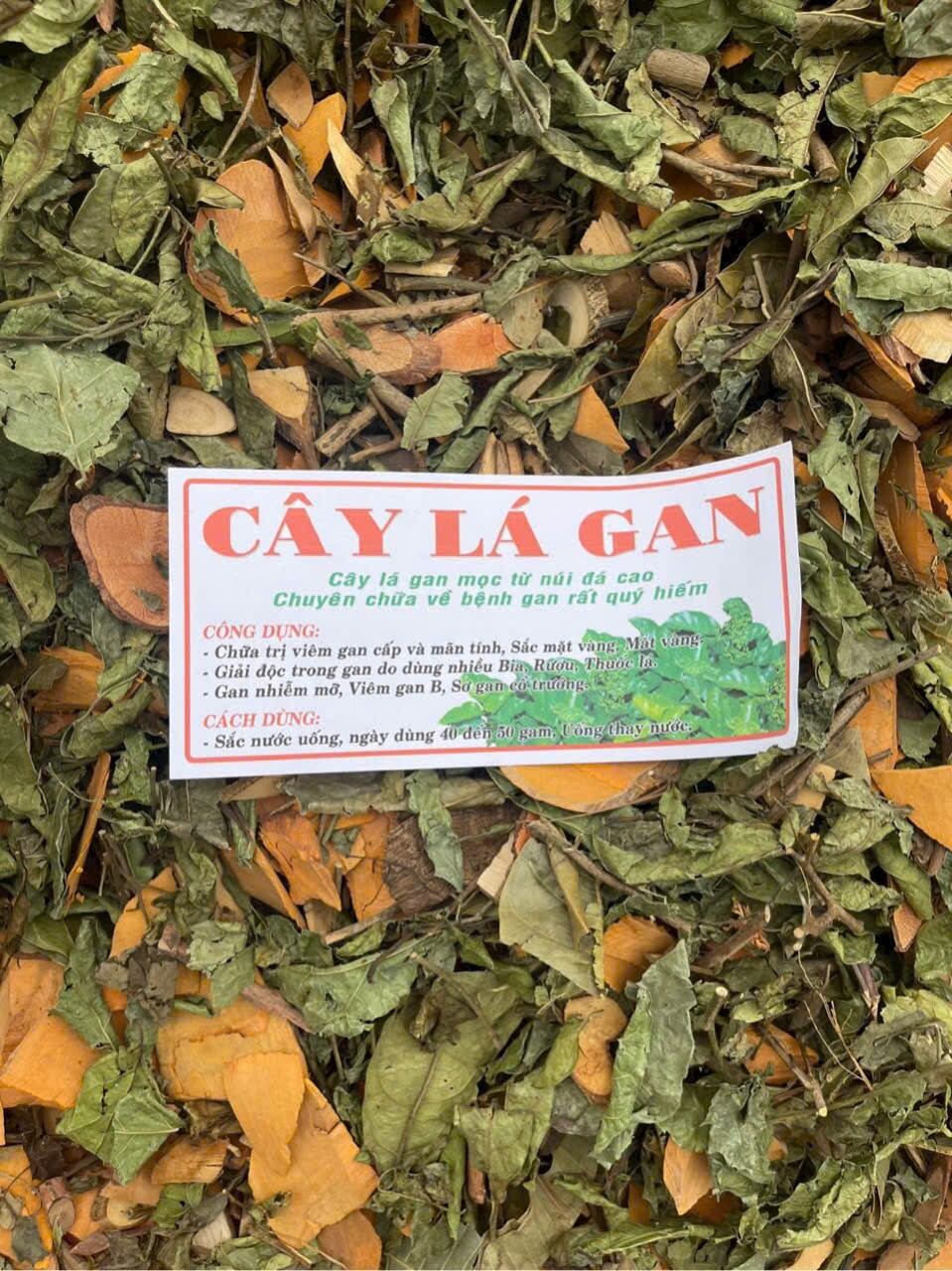 cây lá gan