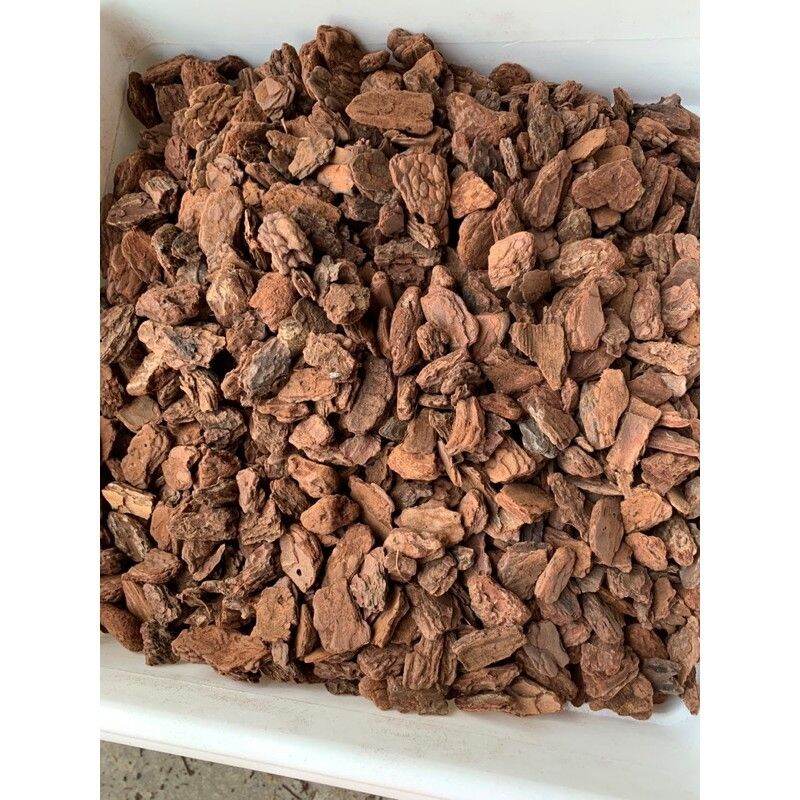 Vỏ thông trồng lan đã được xử lý