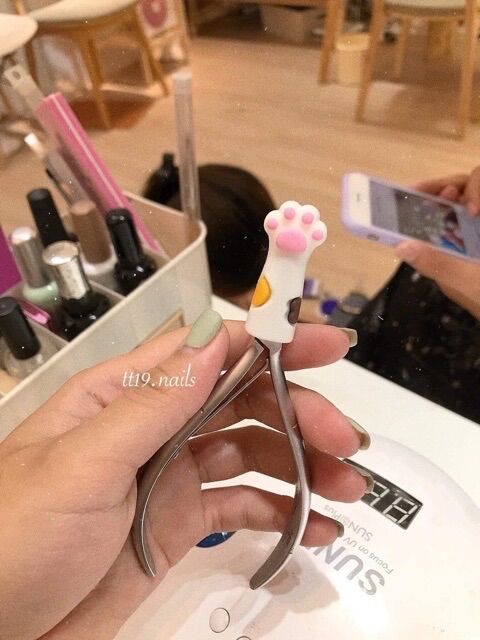 Đầu bọc kìm chân mèo cute